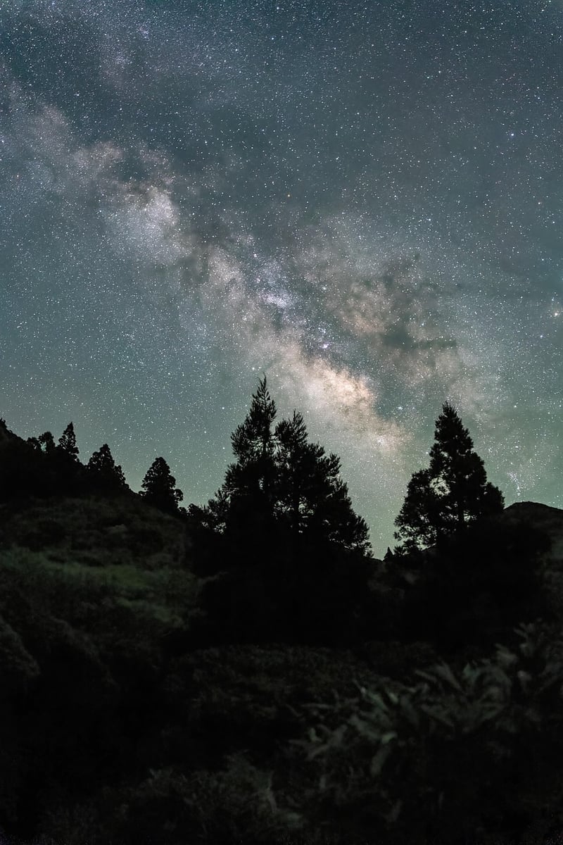 Starry Sky Decor